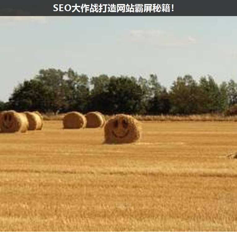 SEO大作戰打造網站霸屏秘籍!