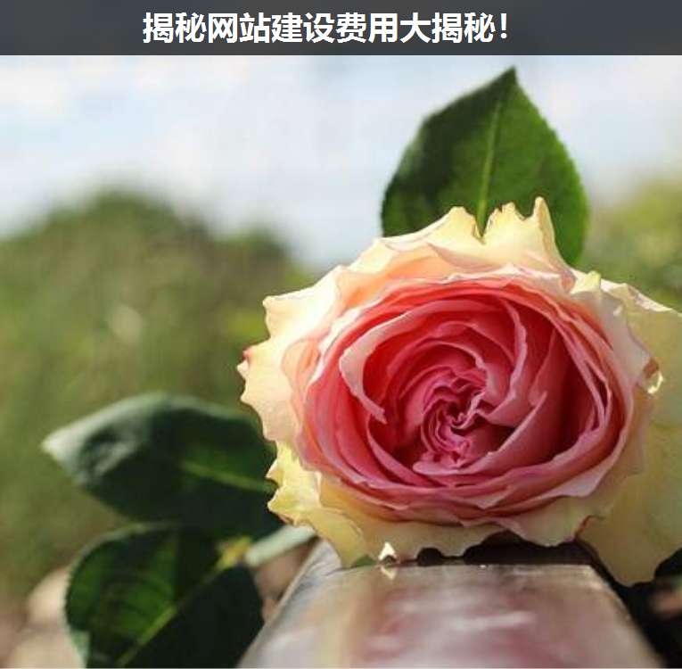 揭秘網站建設費用大揭秘!
