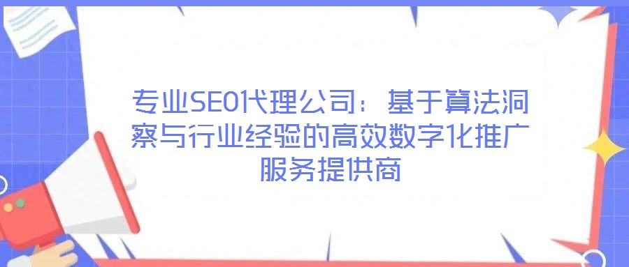 專業(yè)SEO代理公司：基于算法洞察與行業(yè)經(jīng)驗的高效數(shù)字化推廣服務(wù)提供商